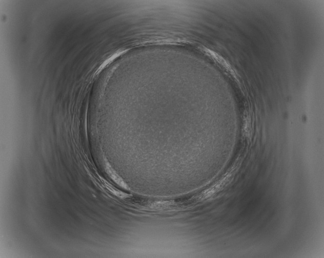 X0000086231161200703291322