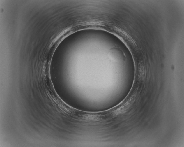 X0000086231162200703291322
