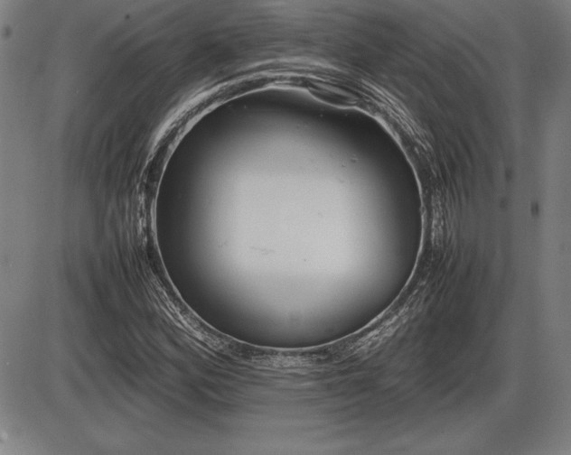X0000086231164200703291322