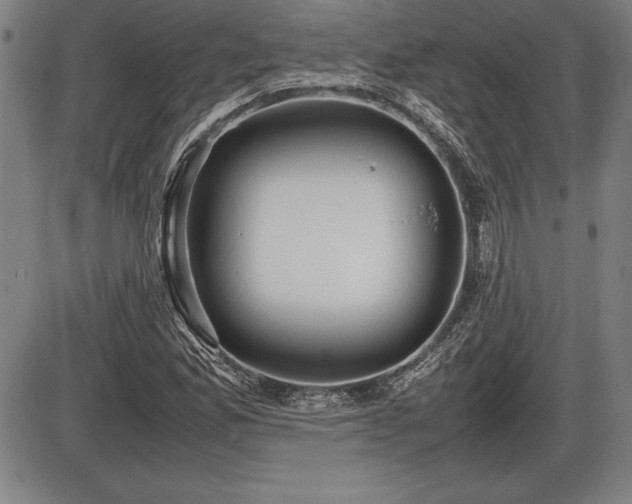 X0000086231165200703291322