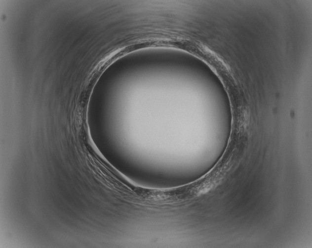 X0000086231169200703291322