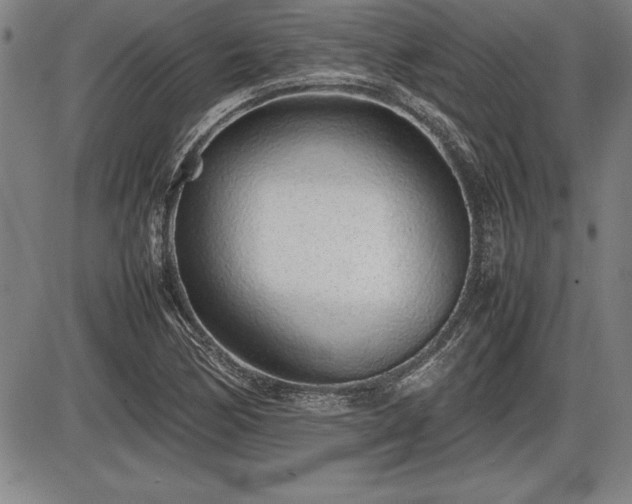 X0000086231170200703291322