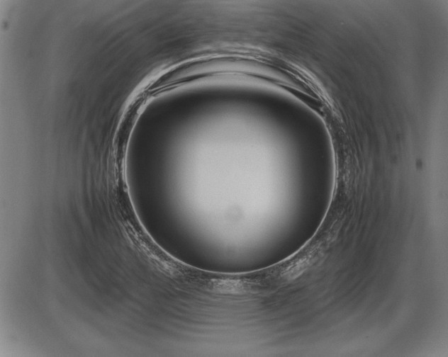 X0000086231172200703291322