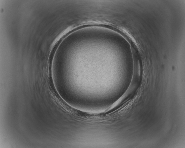 X0000086231173200703291322