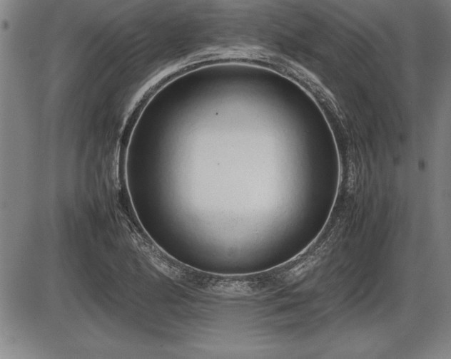 X0000086231174200703291322
