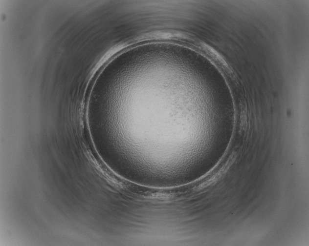 X0000086231178200703291322