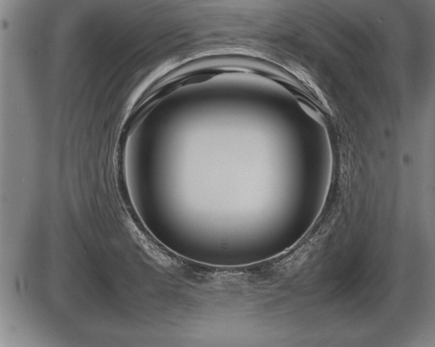 X0000086231181200703291322