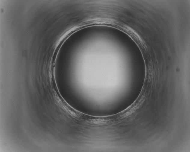 X0000086231182200703291322