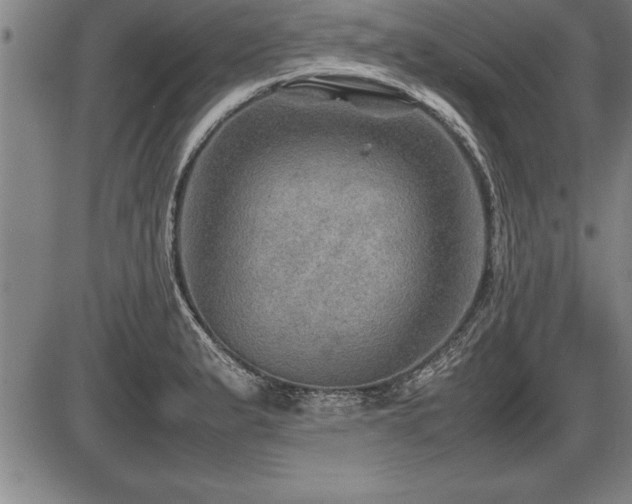 X0000086231183200703291322
