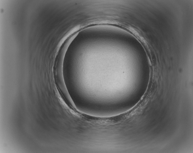 X0000086231189200703291321