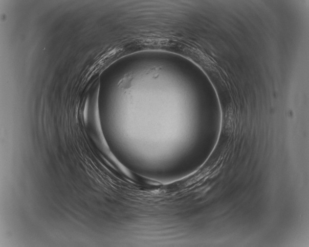 X0000086231202200703291320