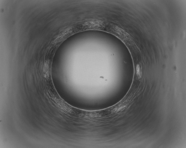 X0000086231203200703291321