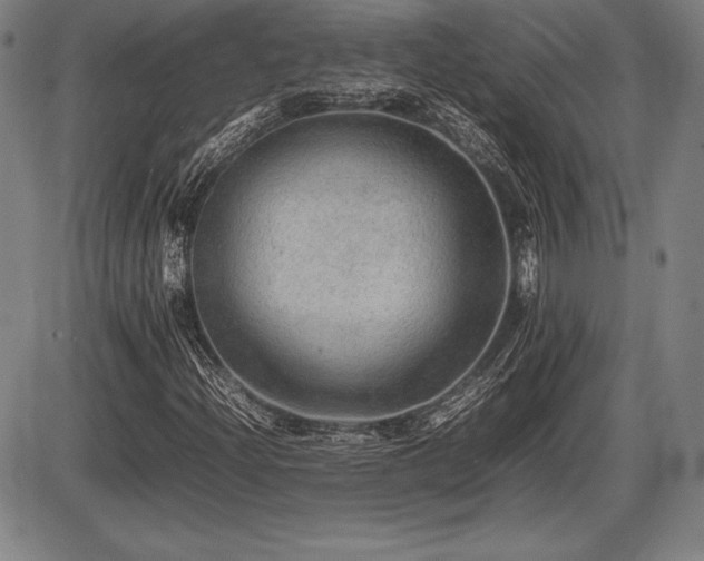 X0000086231204200703291321