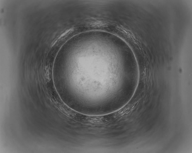 X0000086231205200703291321