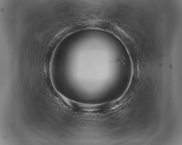 X0000086231206200703291321