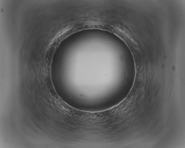 X0000086231207200703291321