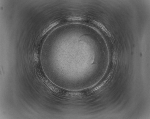X0000086231209200703291321