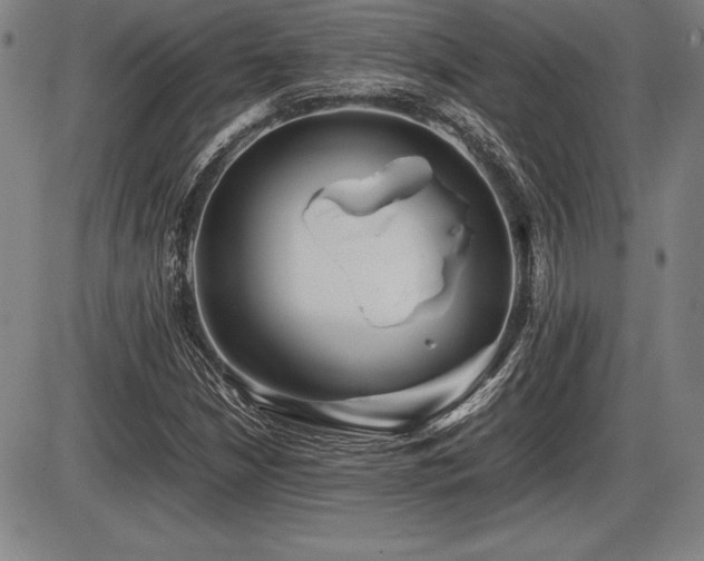 X0000086231210200703291321