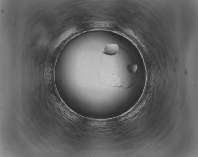 X0000086231211200703291321