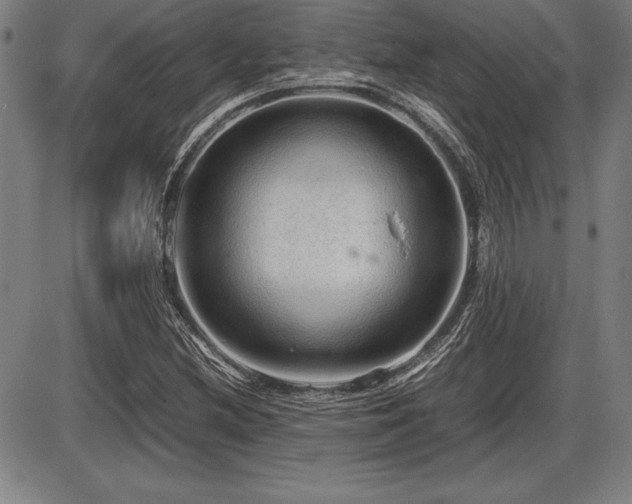 X0000086231212200703291321