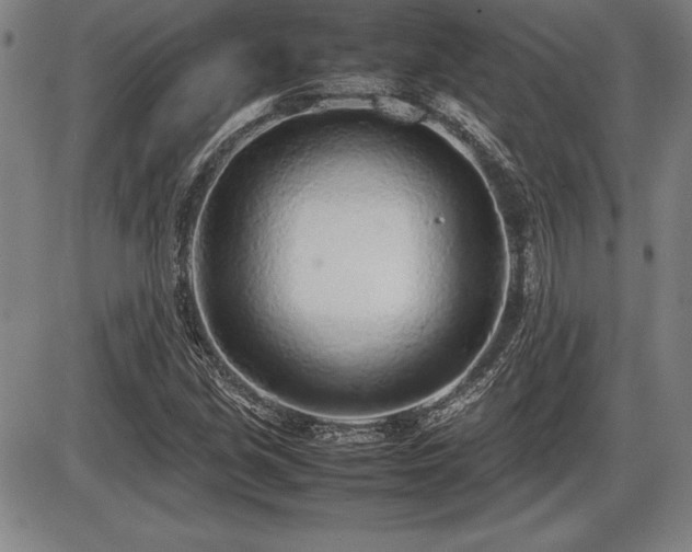 X0000086231213200703291321