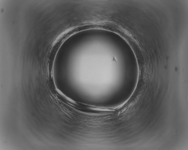 X0000086231214200703291321