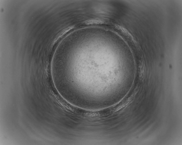X0000086231217200703291321