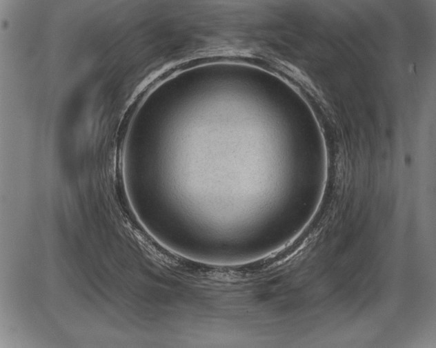 X0000086231220200703291321
