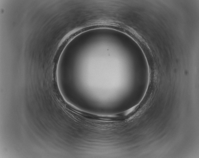 X0000086231222200703291321