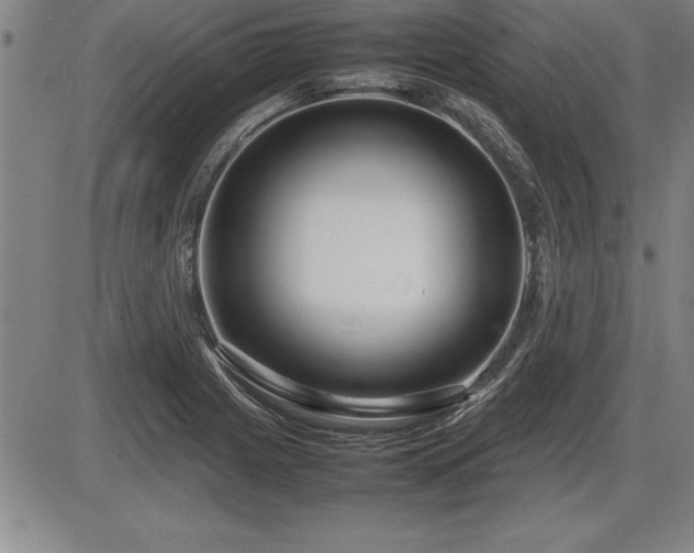 X0000086231225200703291321