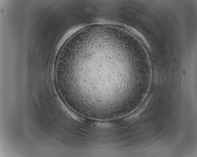 X0000086231231200703291321
