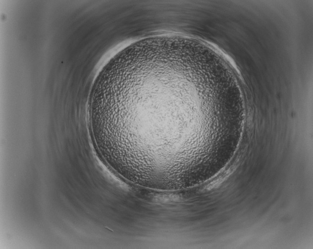 X0000086231239200703291321