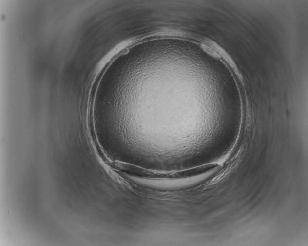 X0000086231245200703291321