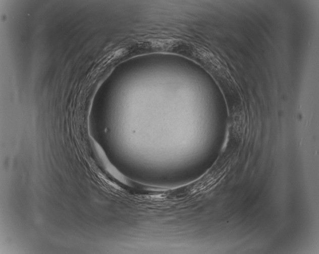 X0000086231249200703291320