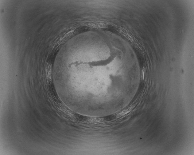 X0000086231251200703291320