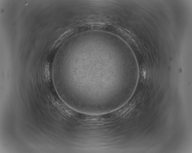 X0000086231252200703291320