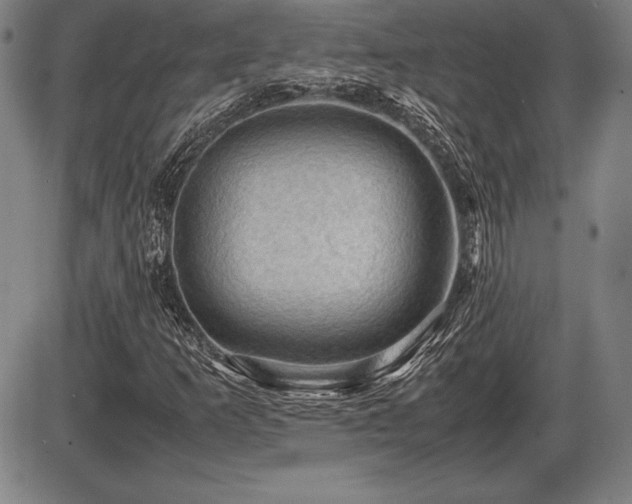 X0000086231253200703291320