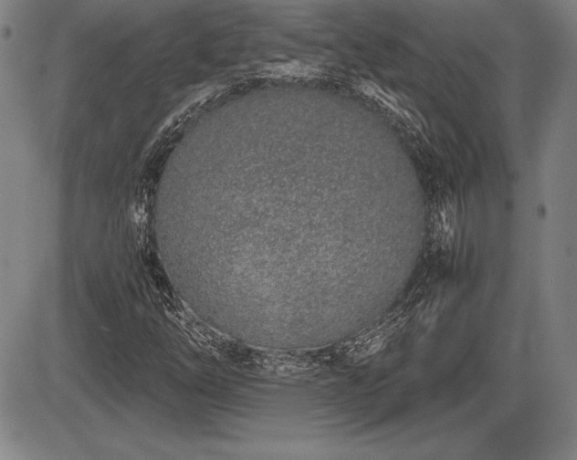 X0000086231254200703291320