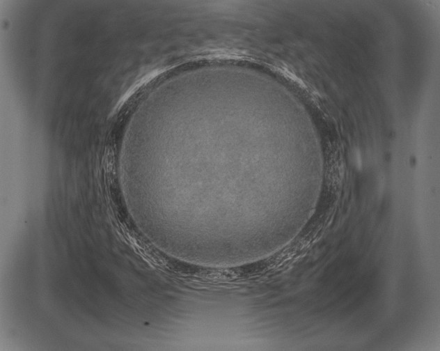 X0000086231255200703291320