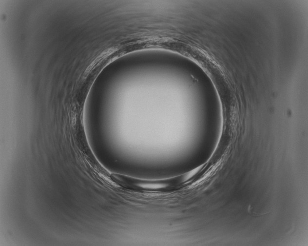 X0000086231257200703291320