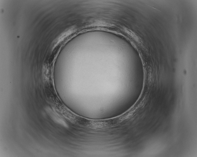 X0000086231258200703291320