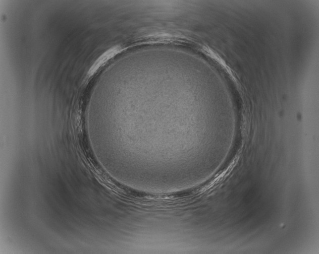 X0000086231259200703291320