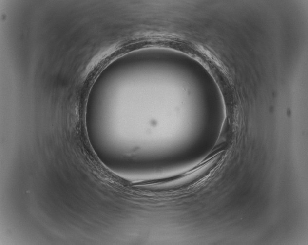 X0000086231261200703291320
