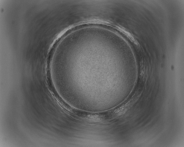 X0000086231264200703291320