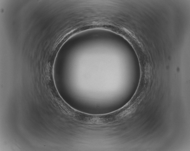 X0000086231265200703291320