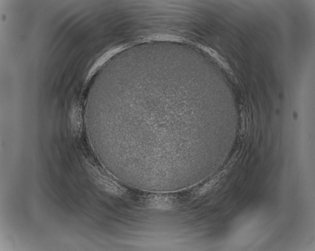 X0000086231266200703291320