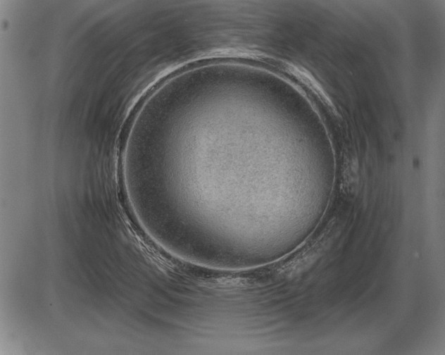 X0000086231268200703291320