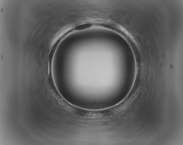 X0000086231269200703291320