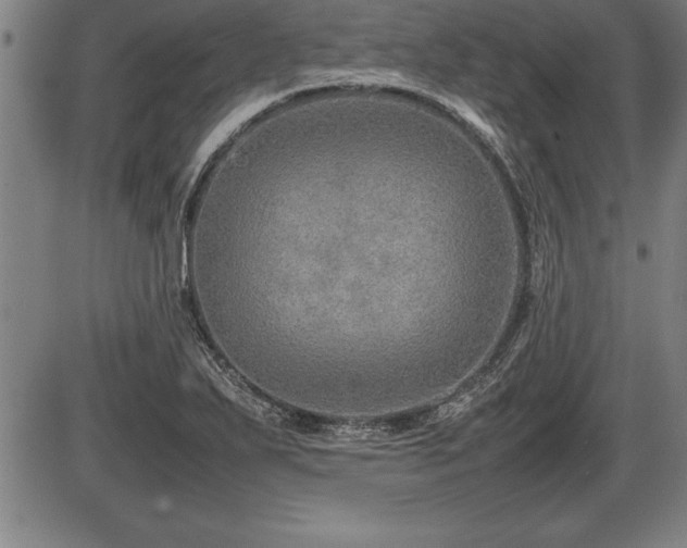 X0000086231271200703291320
