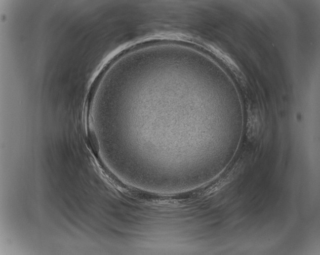 X0000086231272200703291320